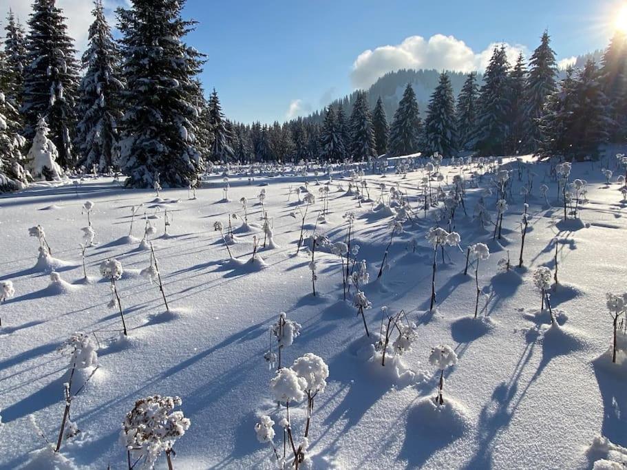 Dans Hameau, Pres Des Pistes Logement De Plein Pied Au Calme Тананж Екстериор снимка