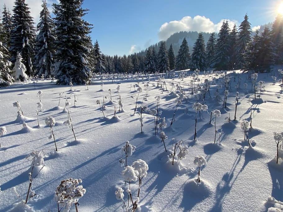 Dans Hameau, Pres Des Pistes Logement De Plein Pied Au Calme Villa Тананж Екстериор снимка